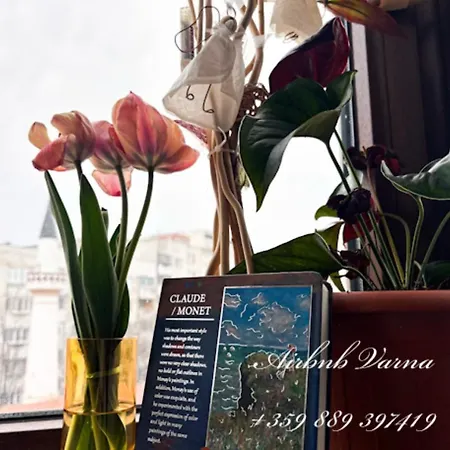 Апартамент The Corner Is A Small, Sunny And Cozy *